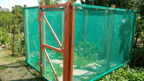 bee tunnel