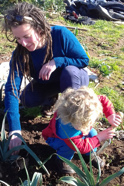 allotment