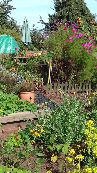 allotments