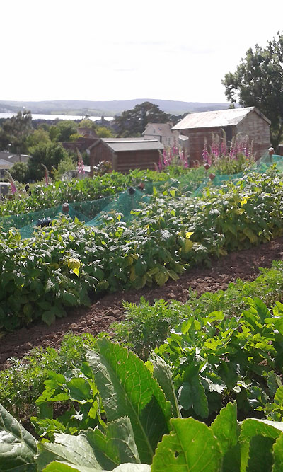 allotment